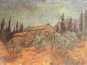Vincent Van Gogh Wooden Sheds (nn04) Sweden oil painting artist